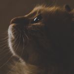 Profile Picture of zHang jinxin (@jin_xin8) on Instagram