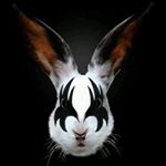 Profile Picture of Steve Blankenship (@steve.blankenship.161) on Instagram