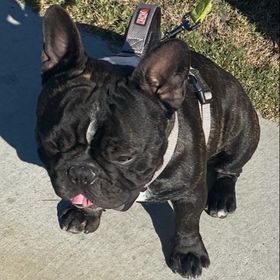 Profile Picture of Tony Tenorio (Maverick) (@manny6144) on Pinterest