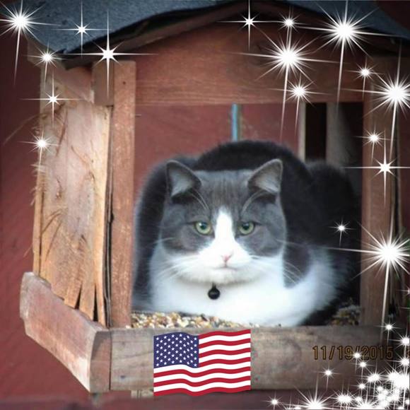 Profile Picture of Carron James-woodrum (@cljmjw) on Poshmark