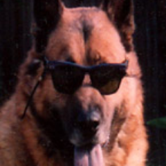 Robert Ashton - Twitter Profile Picture of Robert Ashton (@Ashtonloves) on Twitter