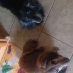 Profile Picture of Lisa Matera (@lisa.matera.10) on Facebook