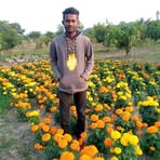 Profile Picture of Rom Jan Shikder (@rom.jan.shikder.2025) on Facebook