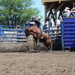 Profile Picture of Calvin Gamblin (@calvin.gamblin) on Facebook