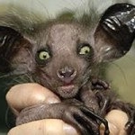 Profile Picture of Shaun Finch (@shaunfinch1976) on Instagram