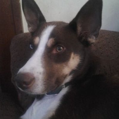 Profile Picture of Nicole Oney (@e9ece125bbb84d6) on Twitter