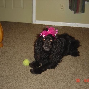 Profile Picture of Michele Mougey (@noopiee) on Myspace