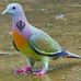 Profile Picture of Simran Judge (@simran.judge.980) on Facebook