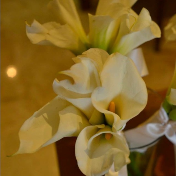 Profile Picture of Kristina Deuser (@kdeuser1) on Poshmark