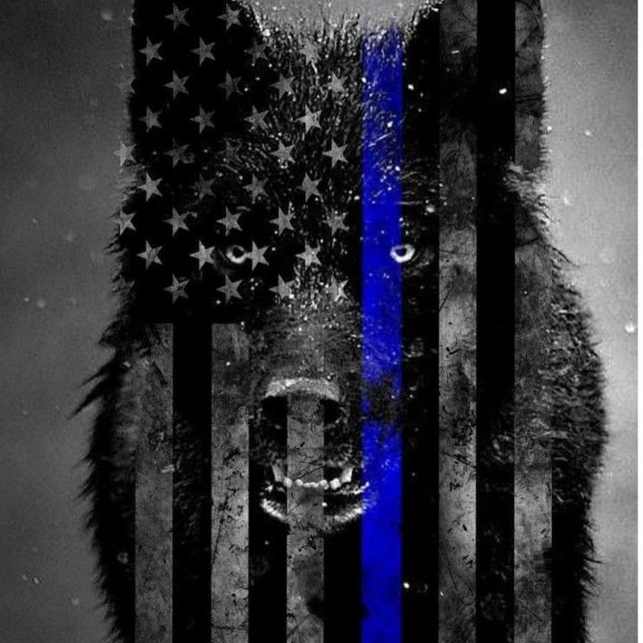 Profile Picture of George Sanderson (@georgesanderson95) on Tiktok