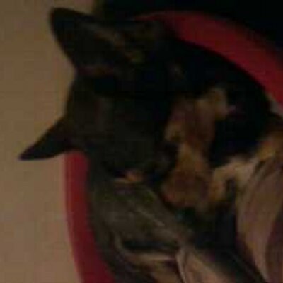 Profile Picture of Kyle Farlow (@farlow_2009) on Twitter