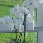 Kurt Weiß - Instagram Profile Picture of Kurt Weiß (@kurtweiss16a) on Instagram