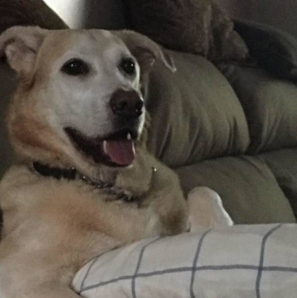 Profile Picture of Dave Hunter (@hunteryanks) on Poshmark