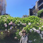 Profile Picture of Miranda Hsu (@miranda0224) on Instagram