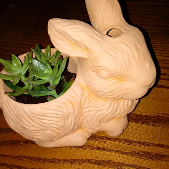 Profile Picture of Dawn Mccants (@rockyandcricket) on Poshmark