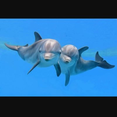 Profile Picture of Kelly Keller (@kellybkeller) on Twitter