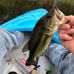 Profile Picture of Brendan Hoey (@brendan.hoey.14) on Facebook