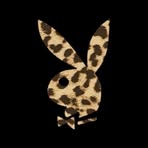 Profile Picture of Lacey Lyttle (@Lacey-Lyttle) on Facebook