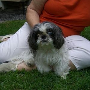 Profile Picture of Lili Miller (@310700095) on Myspace