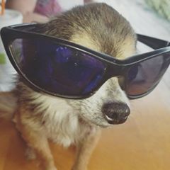 Profile Picture of Steven Sheeley (@stevensheeley) on Tiktok