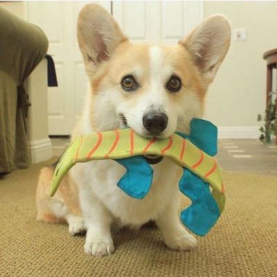 Profile Picture of Kennedy Adams (@kennedyadams04) on Twitter