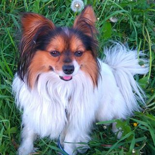 Profile Picture of Rita Bye (@Rita-Bye) on Facebook