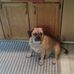 Profile Picture of Ray Weikel (@ray.weikel.3) on Facebook