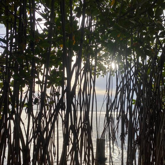 Profile Picture of Nicole Groditski (@nicolenbella) on Poshmark