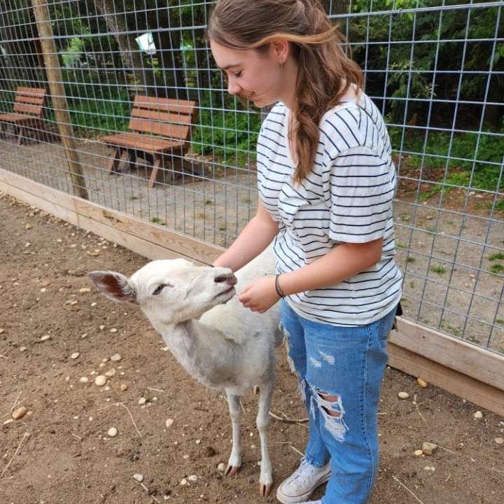 Profile Picture of 🫶🏻 (@savethepickless) on Tiktok