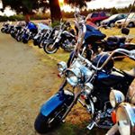 Paula Leslie - Instagram Profile Picture of Paula Leslie (@sweetvibrationz68) on Instagram