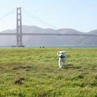 Profile Picture of Tara (Springer) Nelson (@hi_taranelson) on Instagram