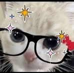 Profile Picture of Ng Truc Xinh (@ng.truc.xinh) on Facebook