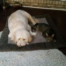 Profile Picture of Andrew Cassell (@andrewcassell01) on Twitter