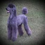 Profile Picture of Terry Wellman (@terry.wellman.777) on Instagram