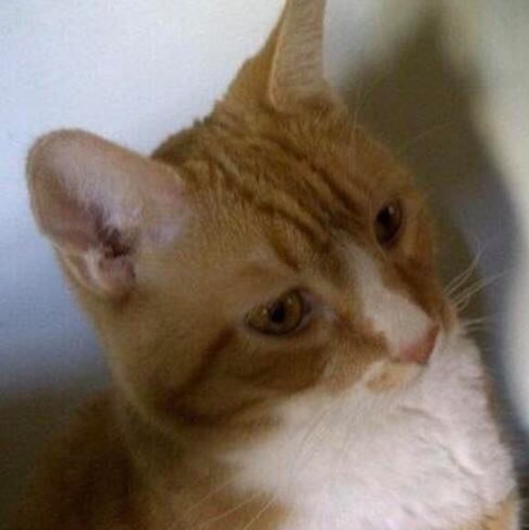 Marsha Hosley - Poshmark Profile Picture of Marsha Hosley (@ladymarshay) on Poshmark