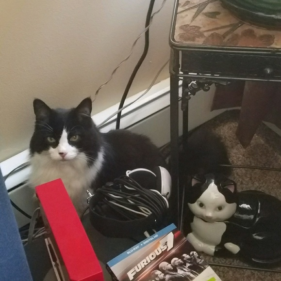 Profile Picture of Briana Bishop (@bbfroggie1) on Poshmark