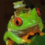 David Coverstone - Instagram Profile Picture of David Coverstone (@davidcoverstone) on Instagram