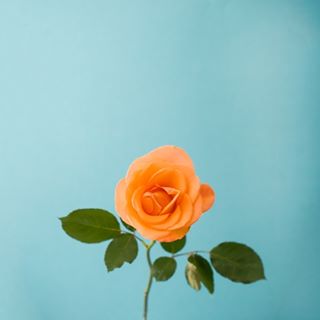 Profile Picture of Jamie Walsh (@jamie.walsh.96) on Facebook