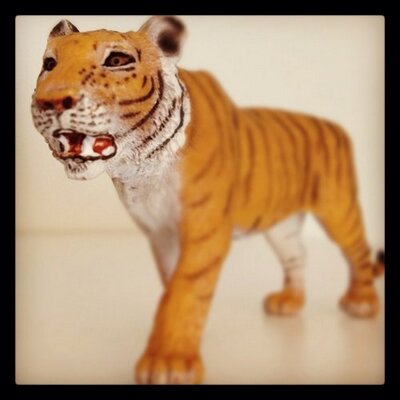 Profile Picture of Roy David Thorsen (@RoyDavidThorsen) on Twitter