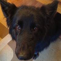 Profile Picture of Michael Heels (@michael-heels) on Quora