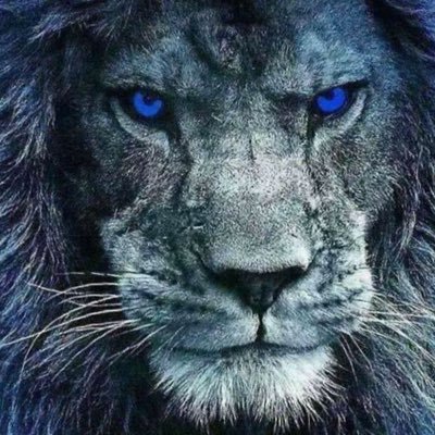 Profile Picture of Randy But Not Really (@HoosierCubMan) on Twitter