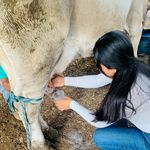 Profile Picture of 𝐼𝓇𝒾𝓈 𝒷𝑒𝓁𝑒𝓃 🤠 (@iris.estanislao) on Instagram