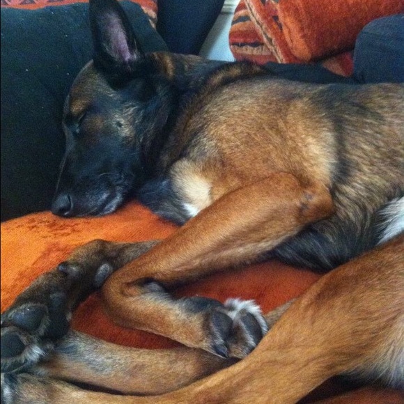 Dzina Fianko - Poshmark Profile Picture of Dzina Fianko (@dzinafianko) on Poshmark