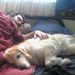 Profile Picture of Geoffrey Greer (@theimmoralflame) on Pinterest