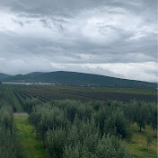 Profile Picture of Anaid Gonzalez (@anaidgonzalez560) on Youtube