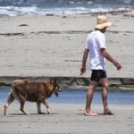 Profile Picture of Brett Whitley (@brettwhitley) on Instagram