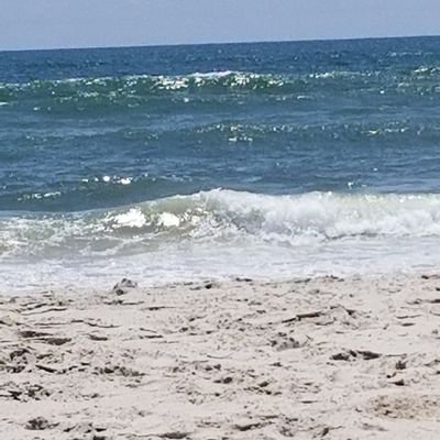 Profile Picture of Lisa Mosher (@LisaMosher22) on Twitter