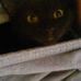 Profile Picture of Jerri Conner (@jerri.conner.102) on Facebook