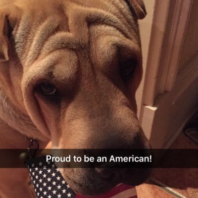 Kim Wallis - Twitter Profile Picture of Kim Wallis (@kcwallis) on Twitter