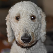 Profile Picture of James Heckman (@snowman8287) on Youtube